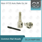 DLLA160P1063 Bosch Common Rail-mondstuk voor injectoren 0445110122/080/131