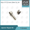 7135-646 Delphi Injector Repair Kit For-Injecteur 28232251/R03101D/R05102D