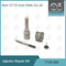7135-580 Delphi Injector Repair Kit For-Injecteurs 28342997/R00001D/28307309