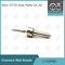 L133PBD Delphi Common Rail Nozzle For-Injecteurs R00501Z