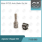 7135-583 de Pijp L341PRD van Delphi Injector Repair Kit For R00301D SSANGYONG D20DTF