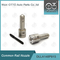 DLLA148P915 Denso Common Rail Nozzle voor injectoren 095000-6070 6251-11-3100