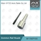M1700P156 SIEMENS VDO Common Rail Nozzle voor injectoren 1489400 / LR006495 / LR008836