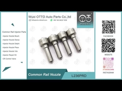 L236PRD Delphi Common Rail Nozzle voor injectoren R04201D