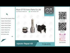 7135-575 Delphi Injector Repair Kit For 28231462 de Pijp L363PRD van VW 1.2L