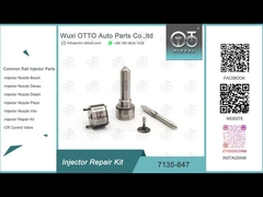 7135-647 Delphi Injector Repair Kit For 28232248 met Pijp L120PBD