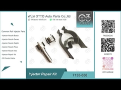 7135-656 Delphi Injector Repair Kit For R00504Z met Pijp L135PBD