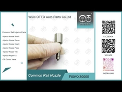 Piezo Pijp van F00VX30005 Bosch voor Injecteur 0445115024/0445115034