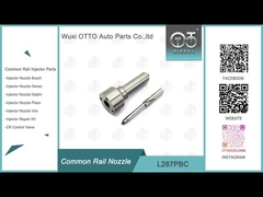 L287PBC Delphi Common Rail Nozzle voor brandstofinjector