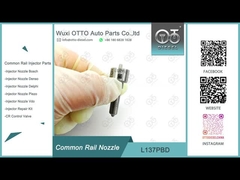 L137PBD Delphi Common Rail Nozzle voor injectoren EJBR02401Z / 02901D