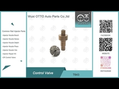 T643 Gebruikelijke regelaar 0445110819/818/939