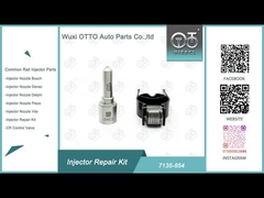 Delphi Injector Repair Kit 7135-854 voor mondstuk E540 en klep 28602945