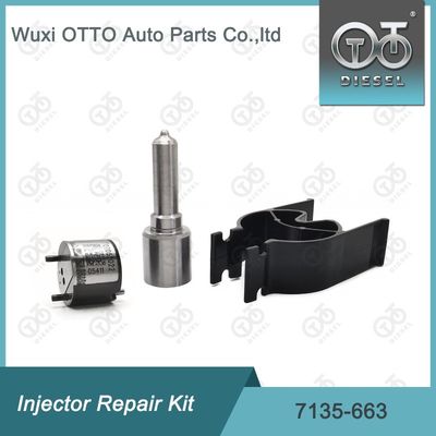 7135-663 Delphi Injectorreparatieset Nozzle-ventielset Nozzle-CVA-set