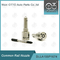 DLLA155P1674 Bosch Common Rail-mondstuk voor injectoren 0445110291/447