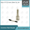 DLLA155P1674 Bosch Common Rail-mondstuk voor injectoren 0445110291/447