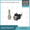 7135-573 Delphi Injector Reparatie Kit For-Injecteurs 28229873
