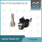 7135-646 Delphi Injector Repair Kit For-Injecteur 28232251/R03101D/R05102D
