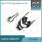 7135-624 Delphi Injector Repair Kit For-Injecteur DAIMLER R04201D