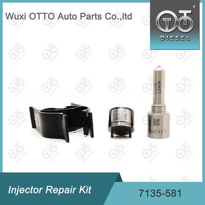 7135-581 Injector Reparatiekit voor R00101D PSA FORD DW10C