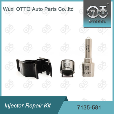 Nozzle-CVA Kit 7135-581 Delphi Injector Repair Kit voor R00101D PSA / FORD DW10C Nozzle-Valve Kit