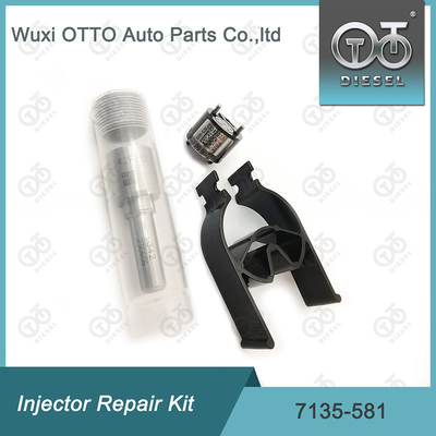 Nozzle-CVA Kit 7135-581 Delphi Injector Repair Kit voor R00101D PSA / FORD DW10C Nozzle-Valve Kit