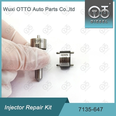 Delphi Injector Reparatiekit 7135-647 voor 28232248 met L120PBD Nozzle