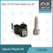 7135-656 Delphi Injector Repair Kit For R00504Z met Pijp L135PBD