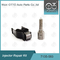 7135-583 de Pijp L341PRD van Delphi Injector Repair Kit For R00301D SSANGYONG D20DTF