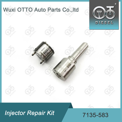 CVA-kits voor Delphi-injectoren voor R00301D SSANGYONG D20DTF