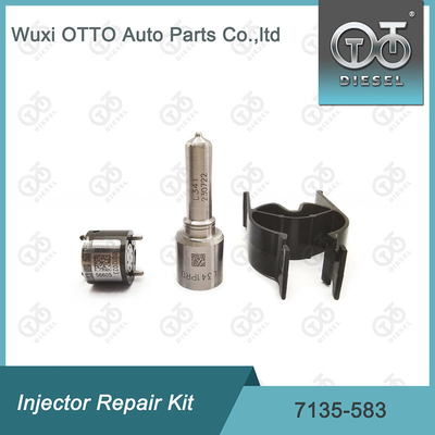 CVA-kits voor Delphi-injectoren voor R00301D SSANGYONG D20DTF