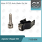 7135-654 Delphi Injector Repair Kit R00501Z met Pijp L456PRD