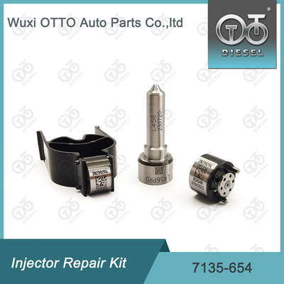 Kit 7135-654 Delphi Injector Repair Kit R00501Z met spuitstuk L456PRD