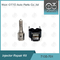 7135-701 Delphi Injector Repair Kit voor injectoren R00001D