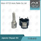 7135-815 Delphi Injector Repair Kit