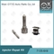 7135-649 Delphi Injector Repair Kit voor injectoren R04601D
