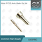 L053PBC Delphi Nozzle For Common Rail-Injecteurs BEBJ1A00001 1660160 1742535