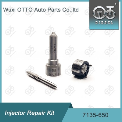 Kits 7135 - 650 Delphi Injector Repair Kit Voor DELPHI Injectoren R04701D