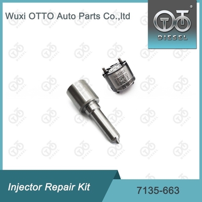 7135-663 Delphi Injectorreparatieset Nozzle-ventielset Nozzle-CVA-set