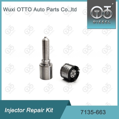 7135-663 Delphi Injectorreparatieset Nozzle-ventielset Nozzle-CVA-set