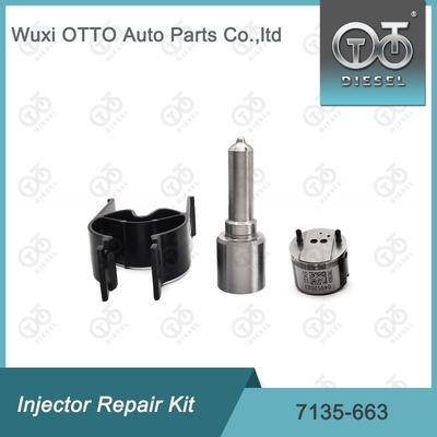 7135-663 Delphi Injectorreparatieset Nozzle-ventielset Nozzle-CVA-set