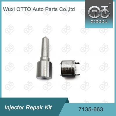7135-663 Delphi Injectorreparatieset Nozzle-ventielset Nozzle-CVA-set