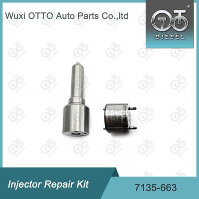 7135-663  Injectorreparatieset Nozzle-ventielset Nozzle-CVA-set
