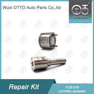 7135-579  Injector Repair Kit met L375PRD mondstuk en 28264094 regelklep voor dieselmotoren