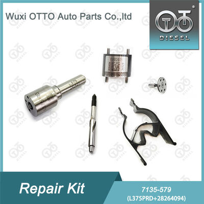 7135-579  Injector Repair Kit met L375PRD mondstuk en 28264094 regelklep voor dieselmotoren