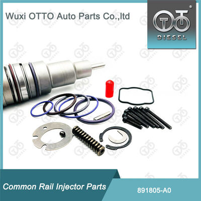 891805-A0 Repair Kits voor brandstofinjectoren 891804-M11 voor  A0 Series Injectoren