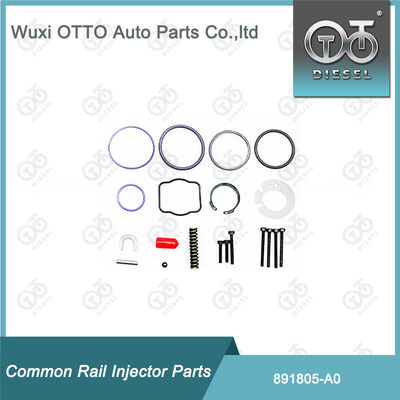 891805-A0 Repair Kits voor brandstofinjectoren 891804-M11 voor  A0 Series Injectoren
