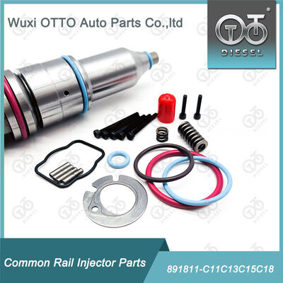 Brandstofinjectorreparatiesets 891811-C11c13c15c18 voor brandstofinjectoren uit de C11 / C13 / 15 / 18-serie