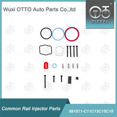 Brandstofinjectorreparatiesets 891811-C11c13c15c18 voor brandstofinjectoren uit de C11 / C13 / 15 / 18-serie
