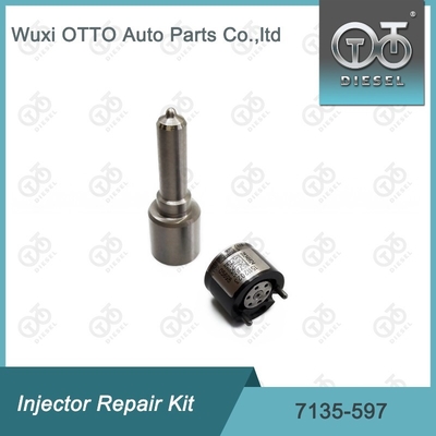 7135-597 Delphi Injectorreparatieset Mondstuk-CVA-set Mondstuk-ventielset