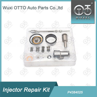Reparatieset voor Common Rail Injector P4384025 Injector met Klepzitting Brandstofsysteem Onderdelen